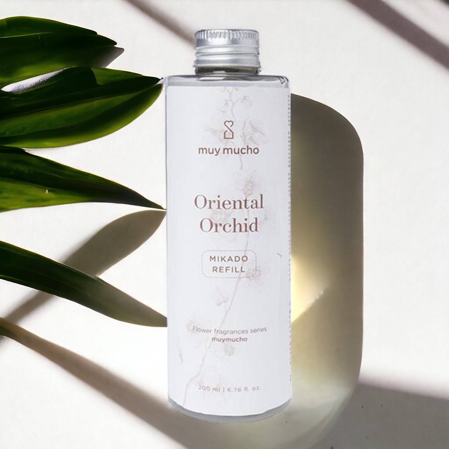 Muy Mucho Oriental Orchid - Recharge