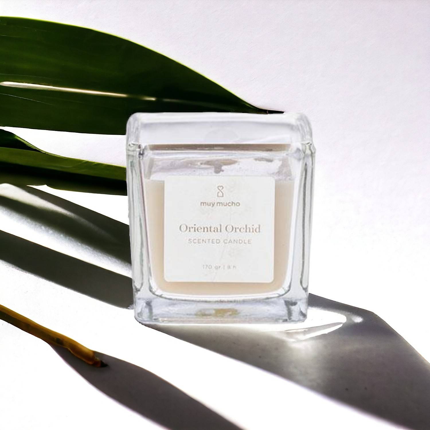 Muy Mucho Oriental Orchid - Bougie en verre carrée