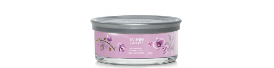YANKEE CANDLE BOUGIE 5 MECHES ORCHIDEE SAUVAGES